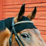 Horse Neck Cap