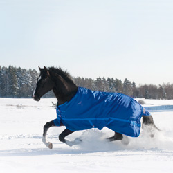 Derka zimowa (330 g)