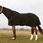 Cubre cuello, para manta fleece